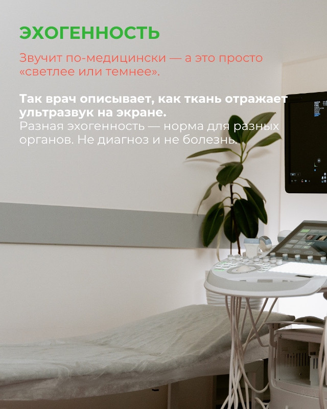 эхогенность