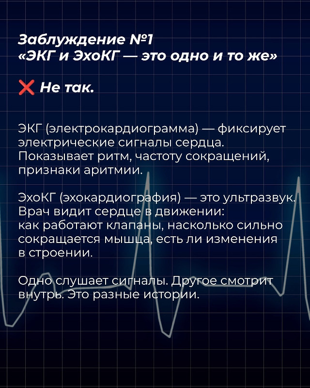 Заблуждение 1: ЭКГ и ЭхоКГ - это одно и то же