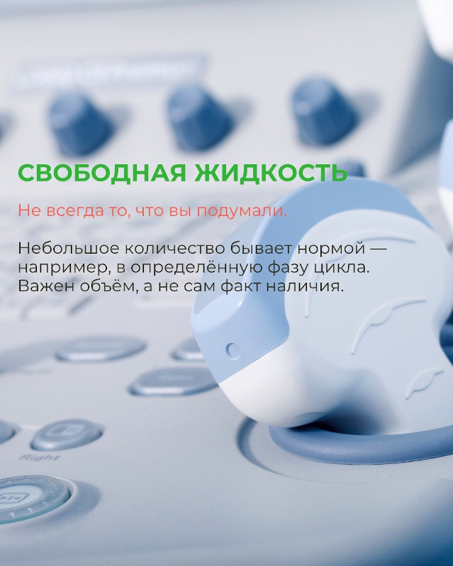 свободная жидкость